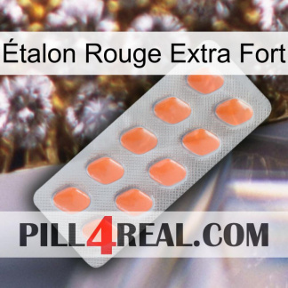 Étalon Rouge Extra Fort 26
